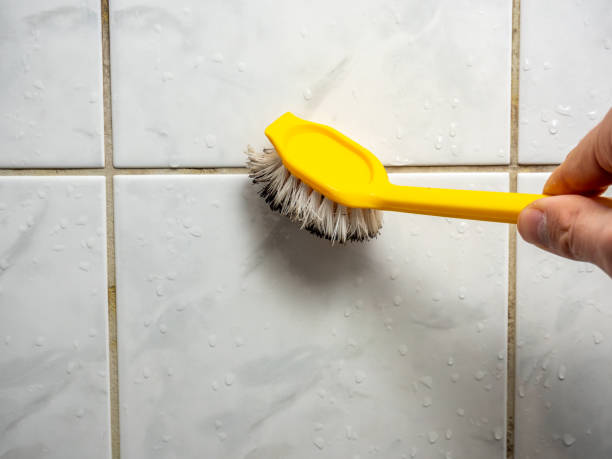 Best Mold Removal Company Near Me  in Woodridge, IL