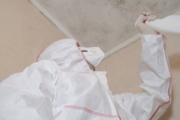 Best Emergency Mold Removal  in Woodridge, IL
